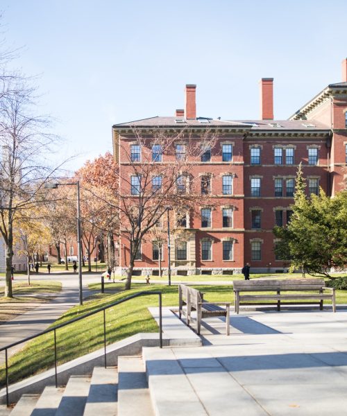 harvard-university-campus.jpg harvard-university-campus.jpg